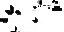 技
