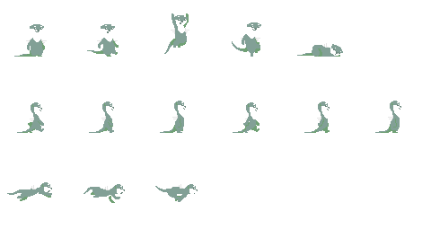 カワウソたち