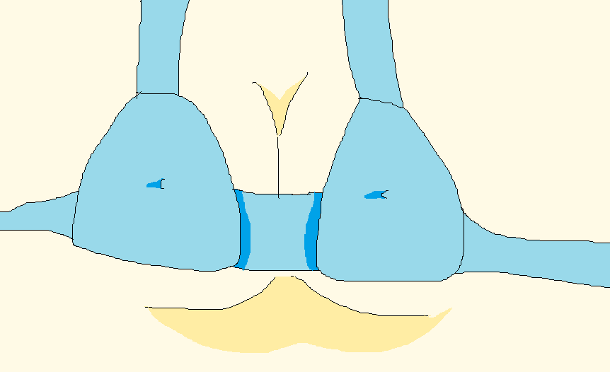 おっぱ・・・ブラジャーです。