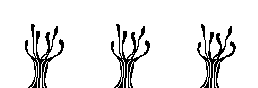 ポリプ