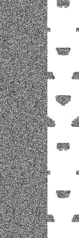 ノイズブロック