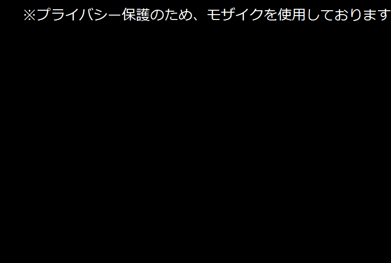 プライバシー保護のため モザイクを使用しております 無料ゲームのプリシー